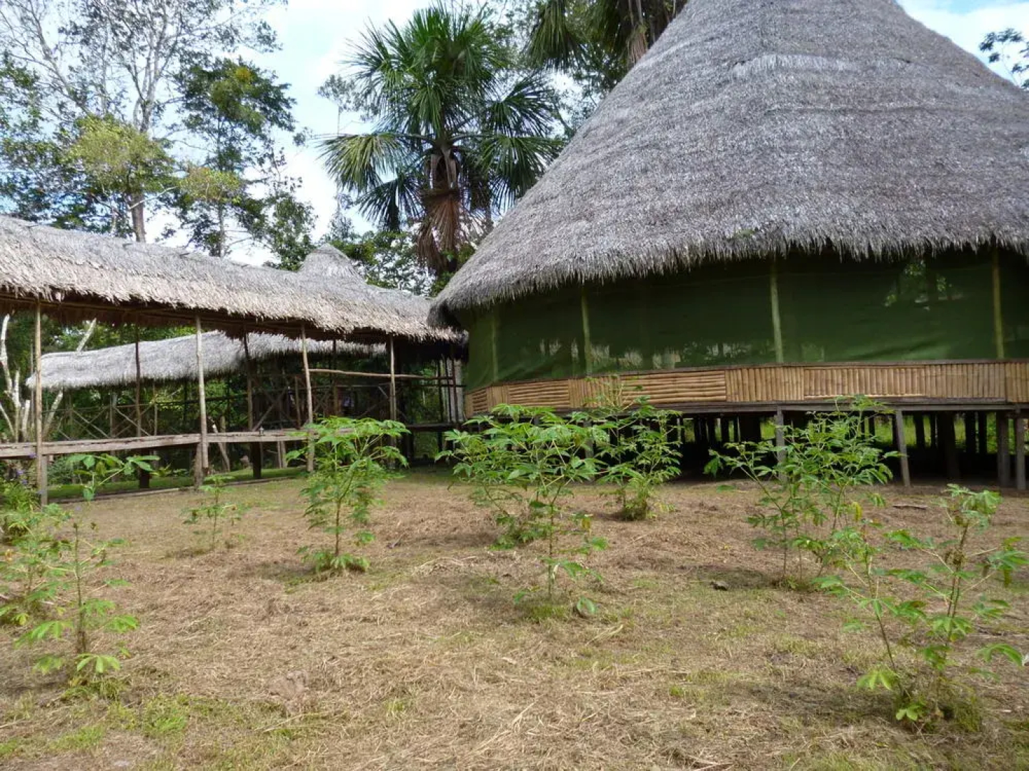 Amazon Yanayacu Lodge