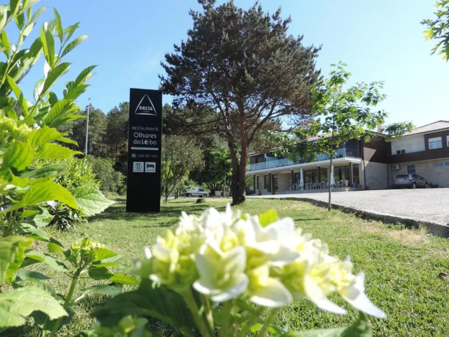 Olhares Do Lobo Restaurante Lobo