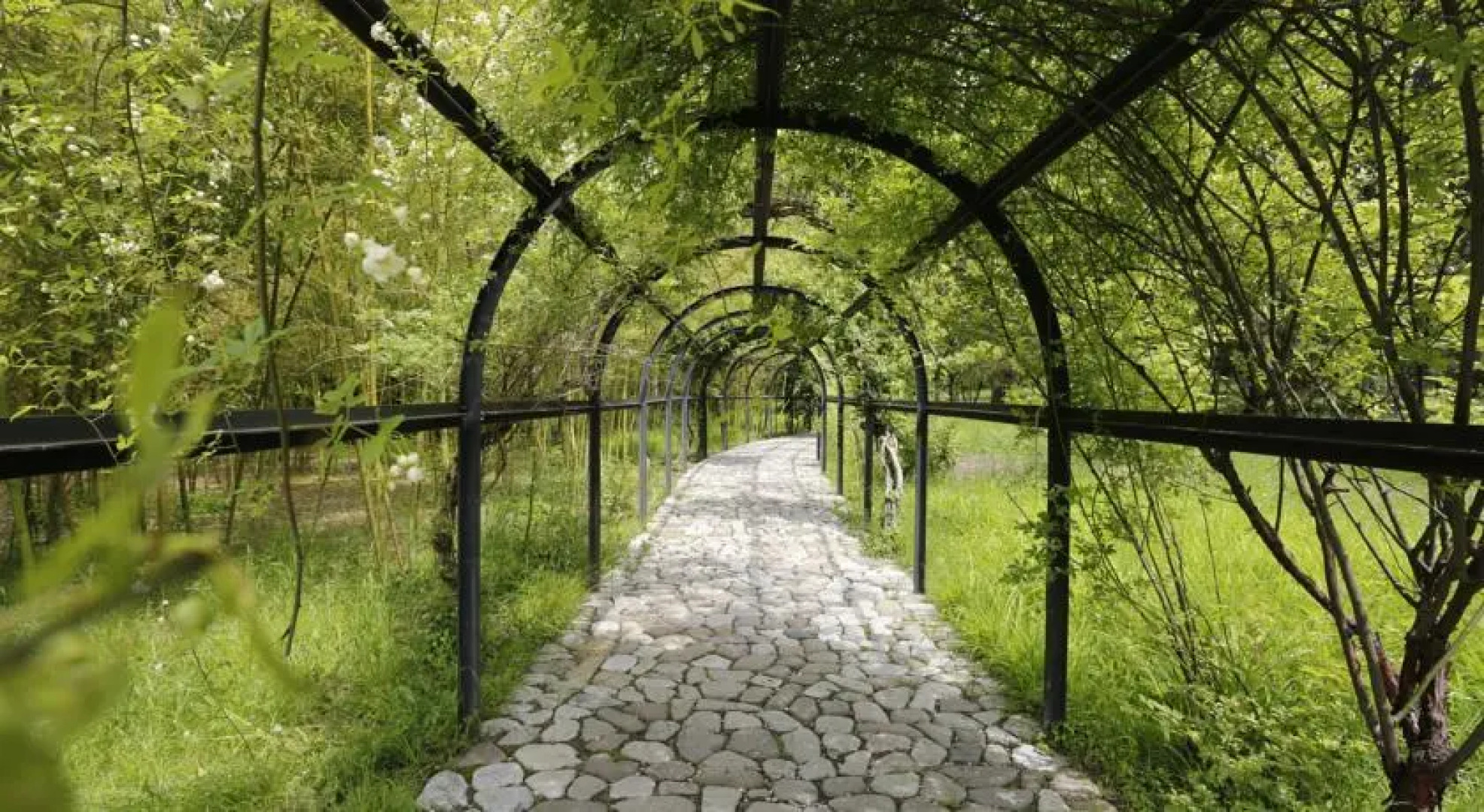 Tsinandali Museum Guest House