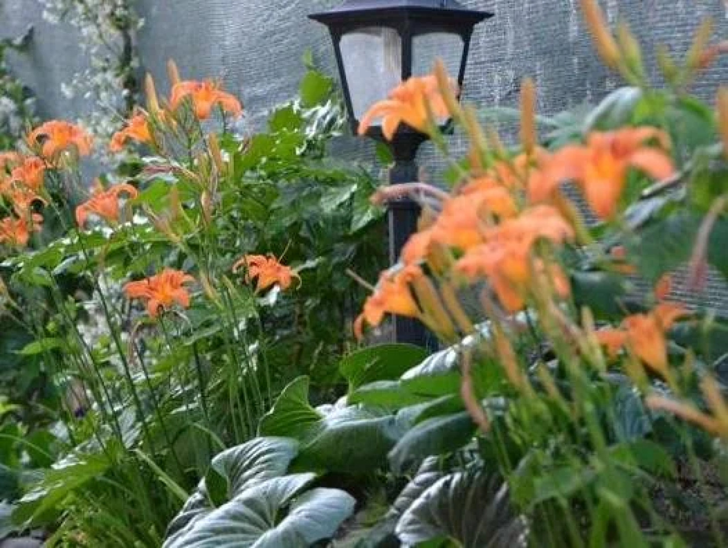 Palestrina - Valmontone B&B