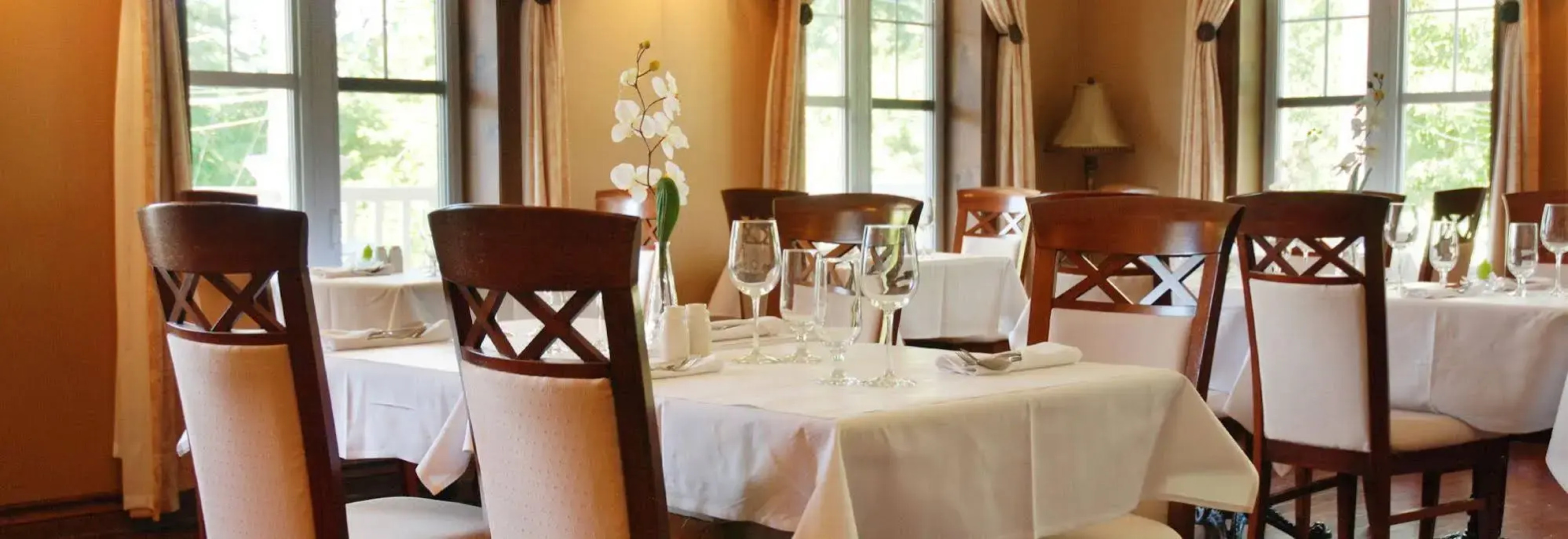 L'Oasis de l'Île, Refuge Urbain