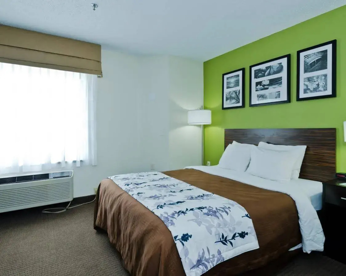 Sleep Inn Richmond South