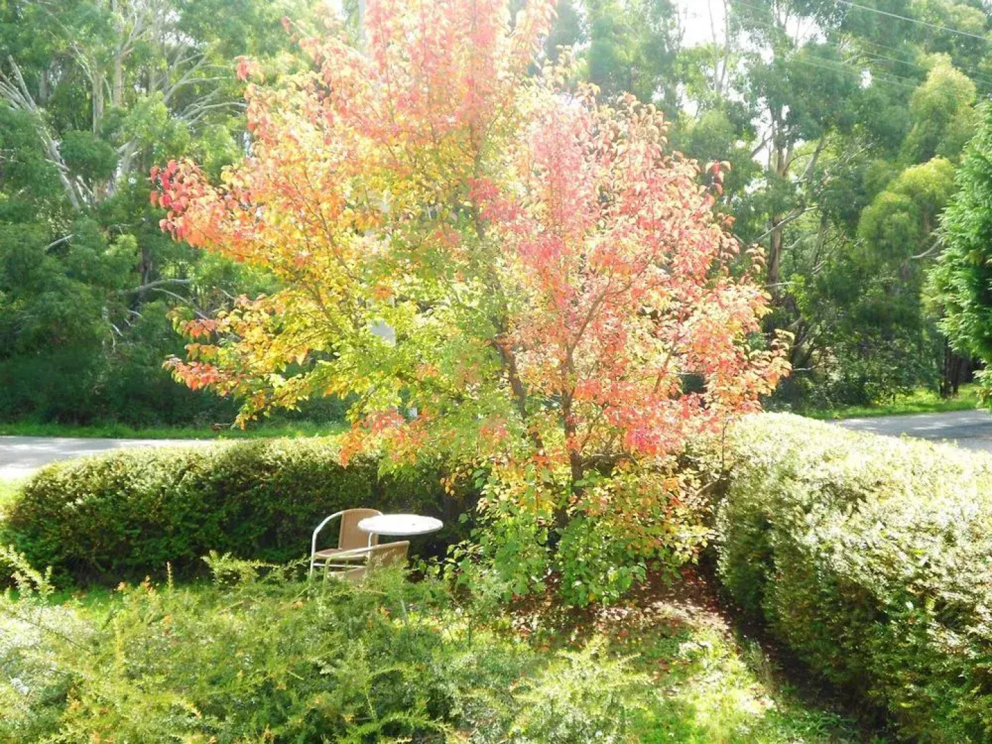 Acacia House Spa Balcony Apartment