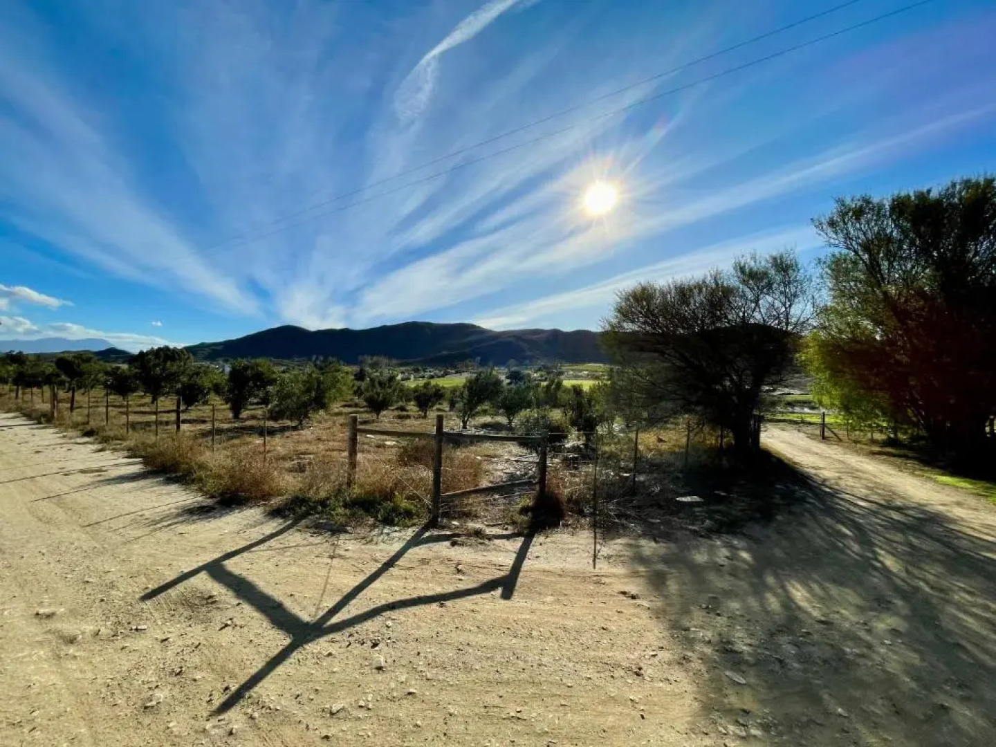 Blue Cow Barn - Boutique Farm