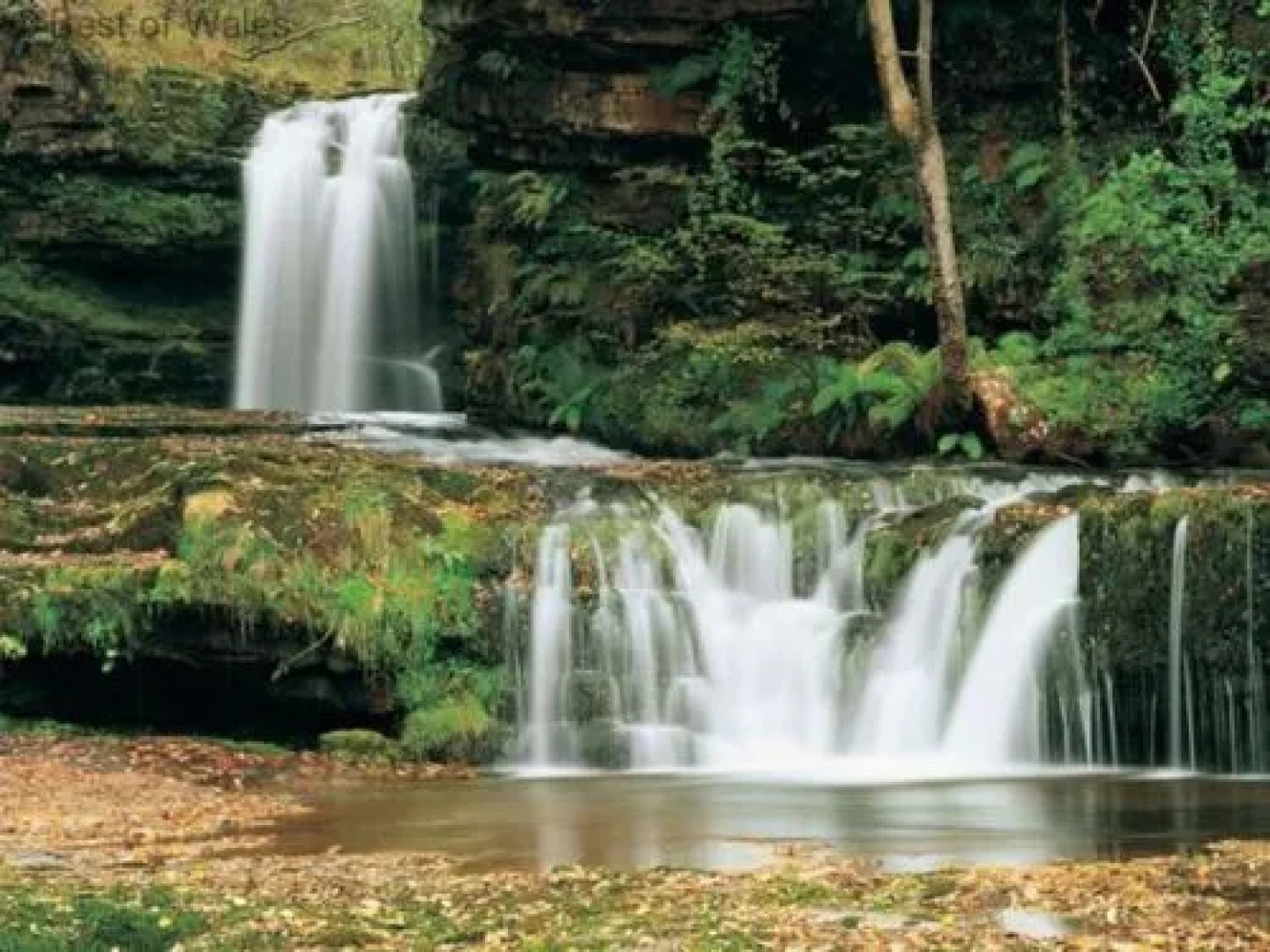 House Cilybe Swansea