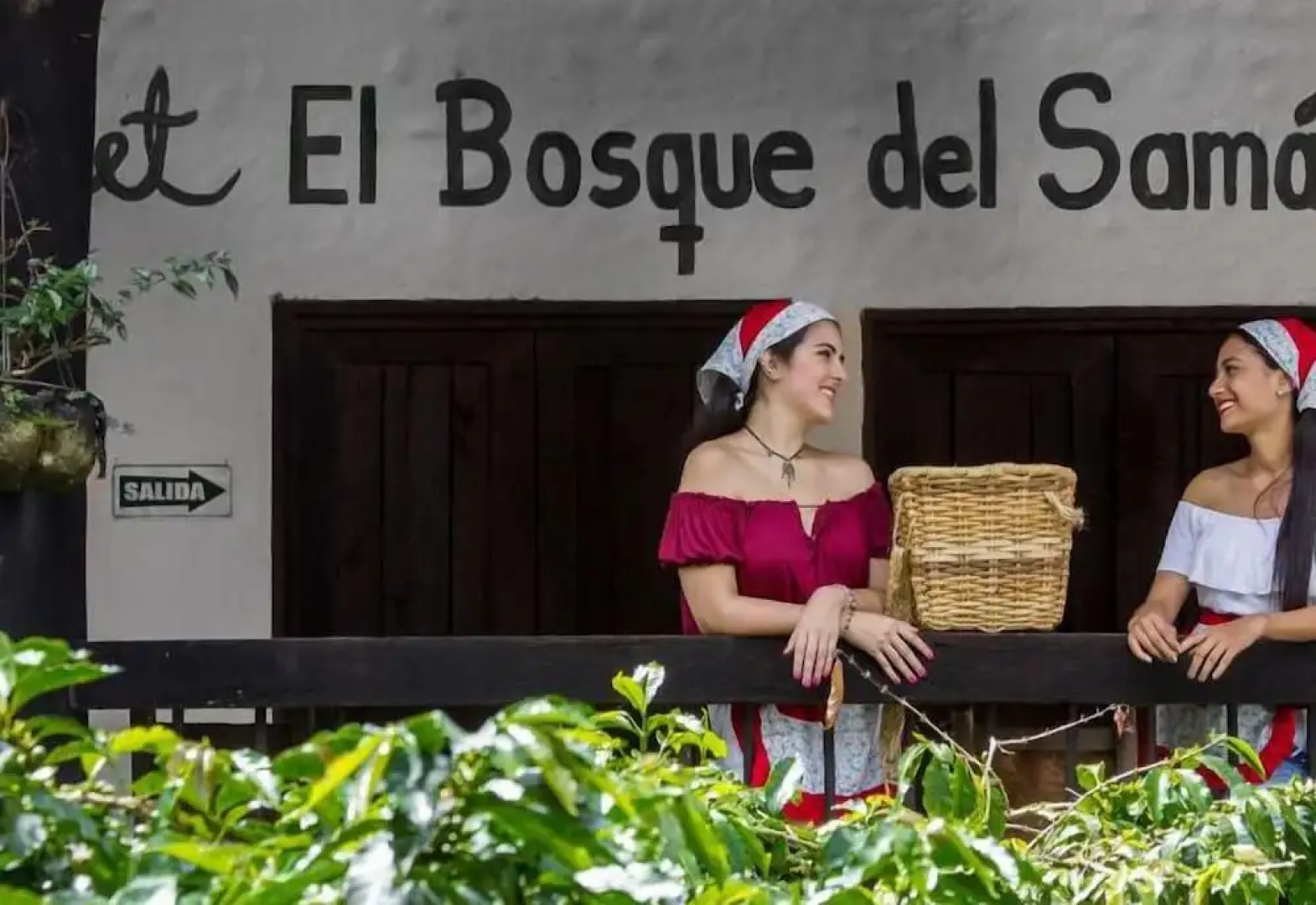Finca Hotel Bosques del Samán Alcalá