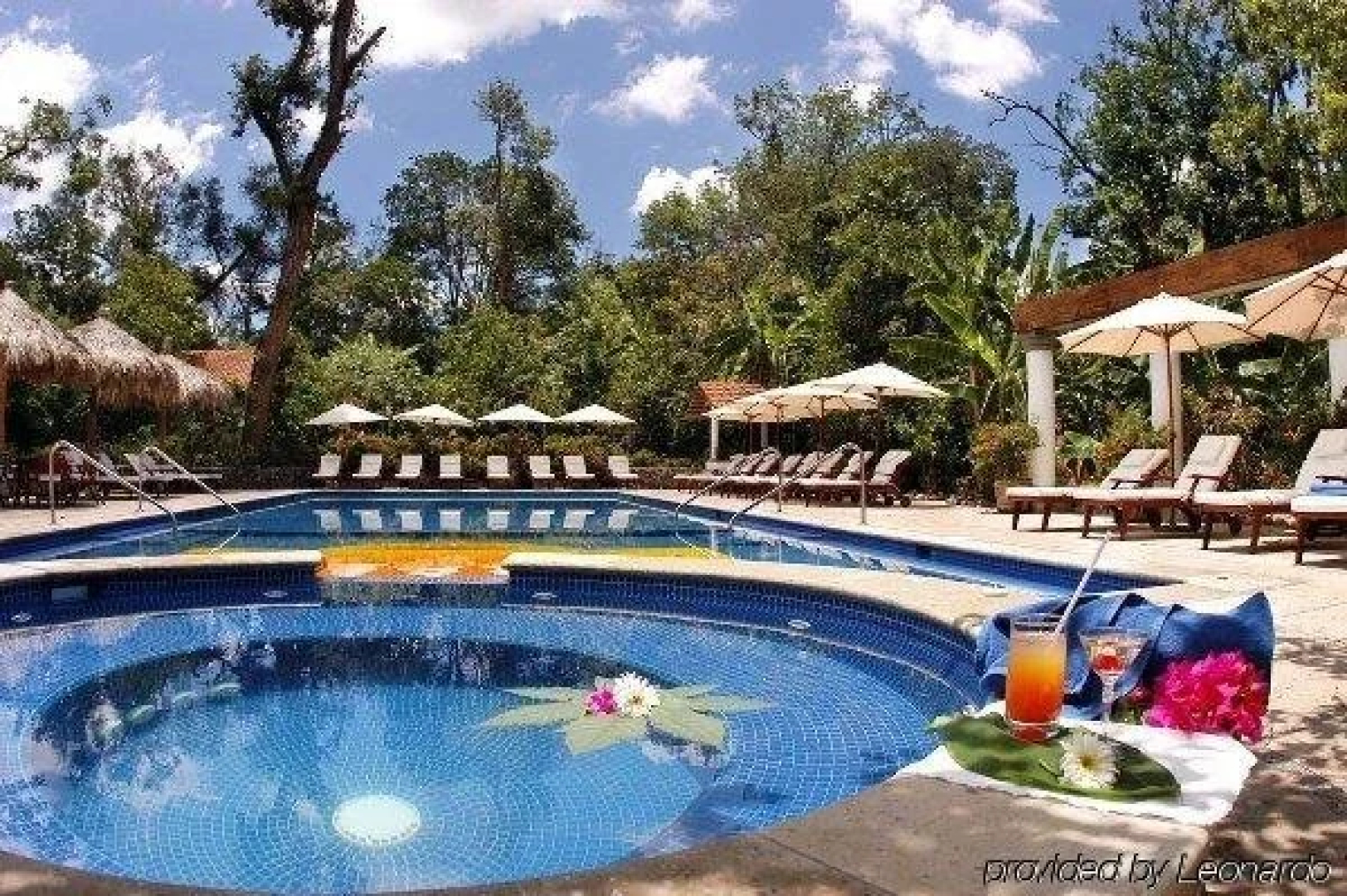 La Casa de los Arboles