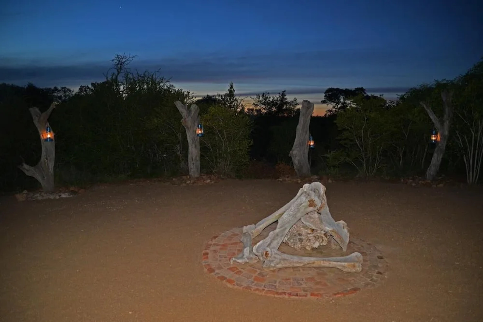 Wild Olive Tree Camp