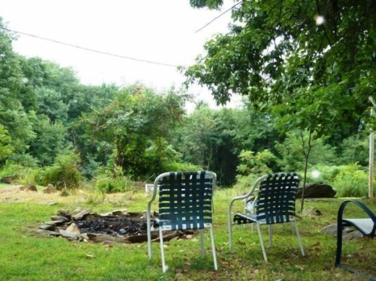 Mountain_roots_lodging