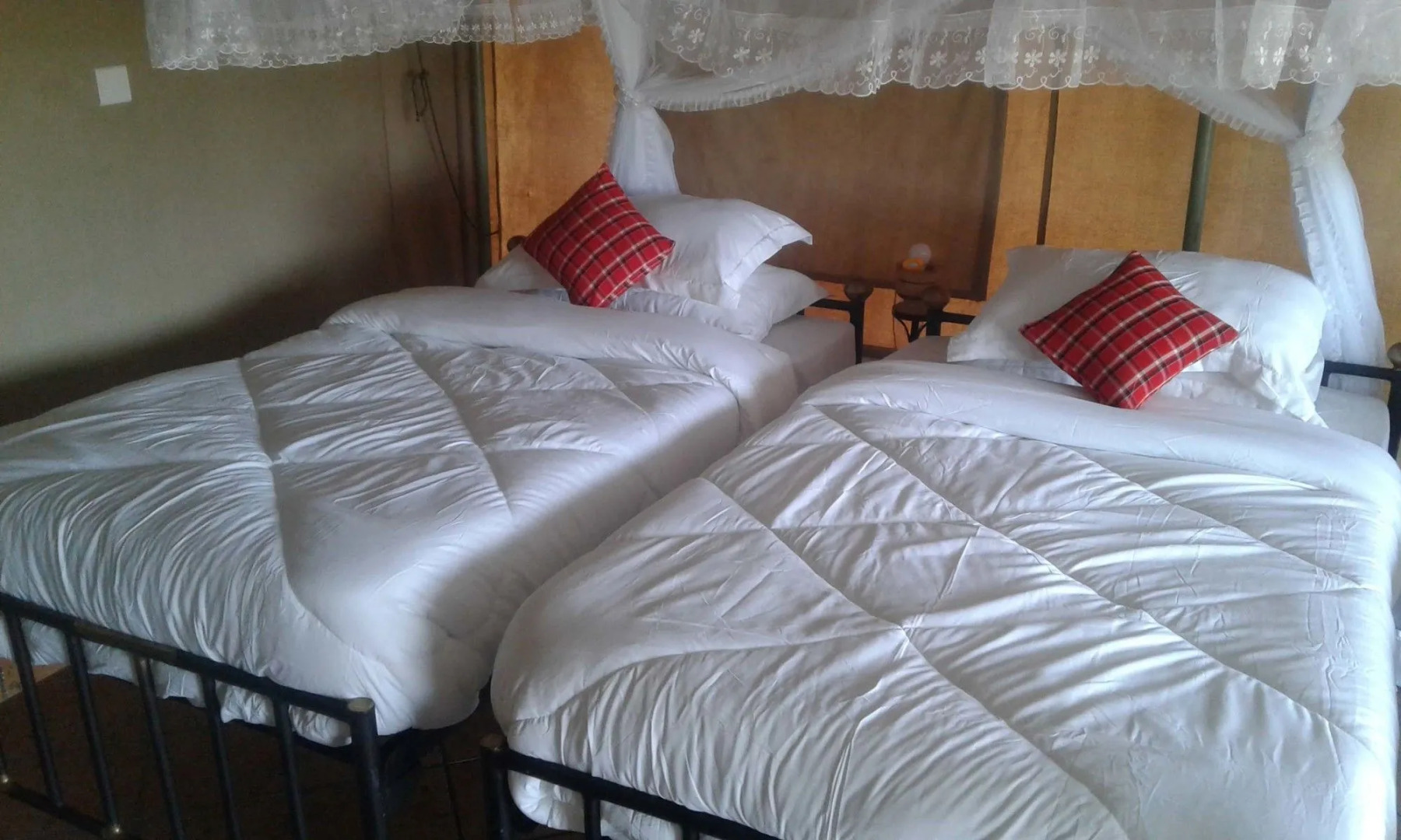 Zebra Kemang'ore Bush Tented Lodge