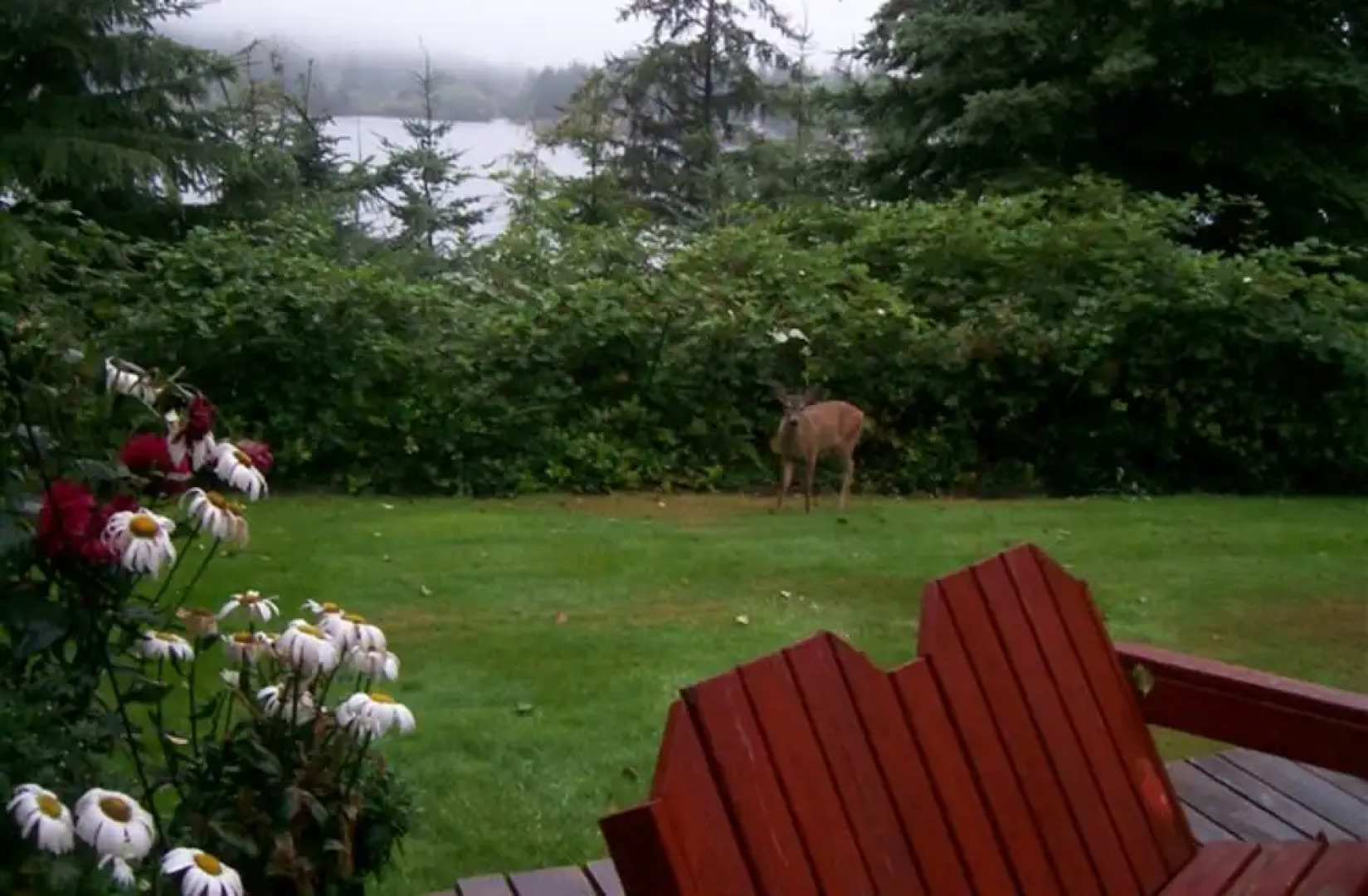 The Lake House Bed and Breakfast