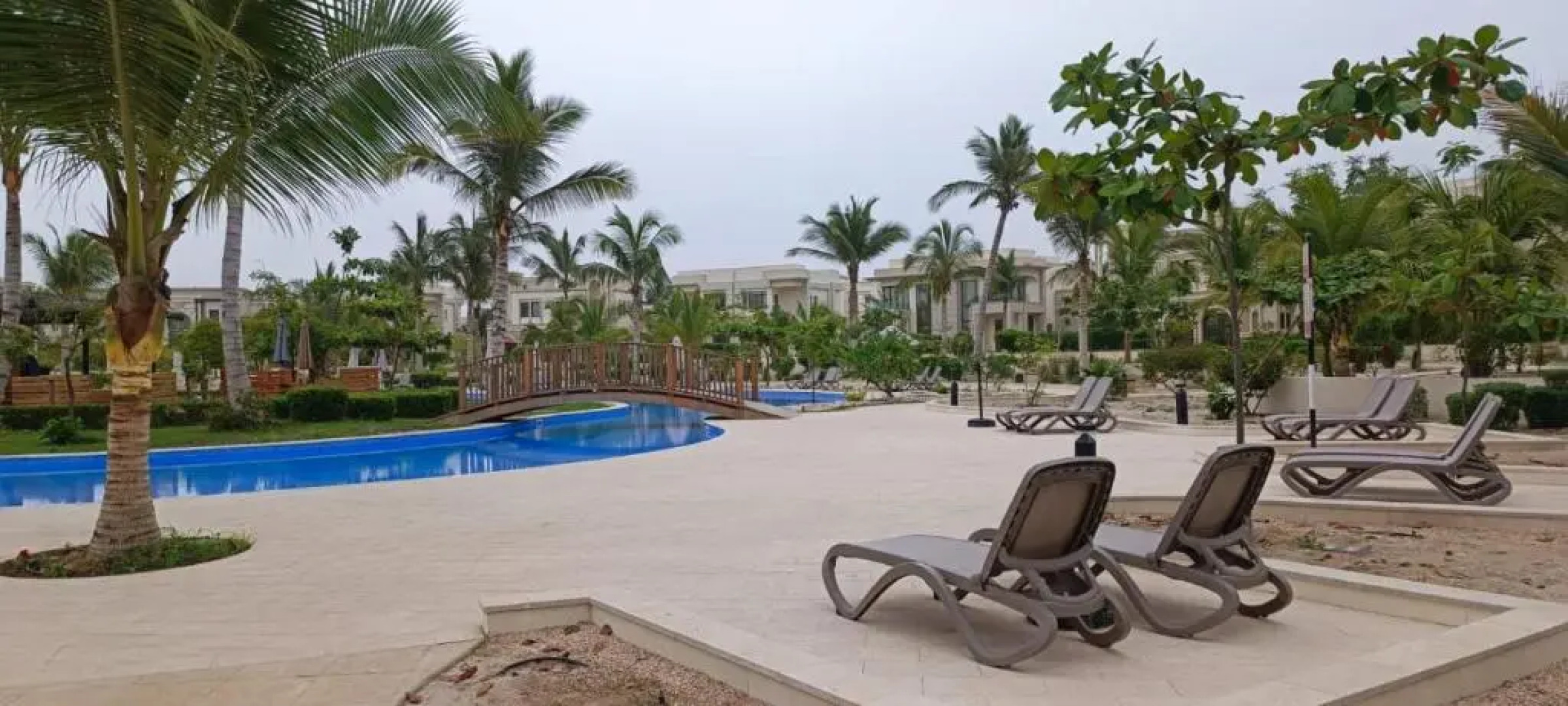 Acacia Flower AC 8-201