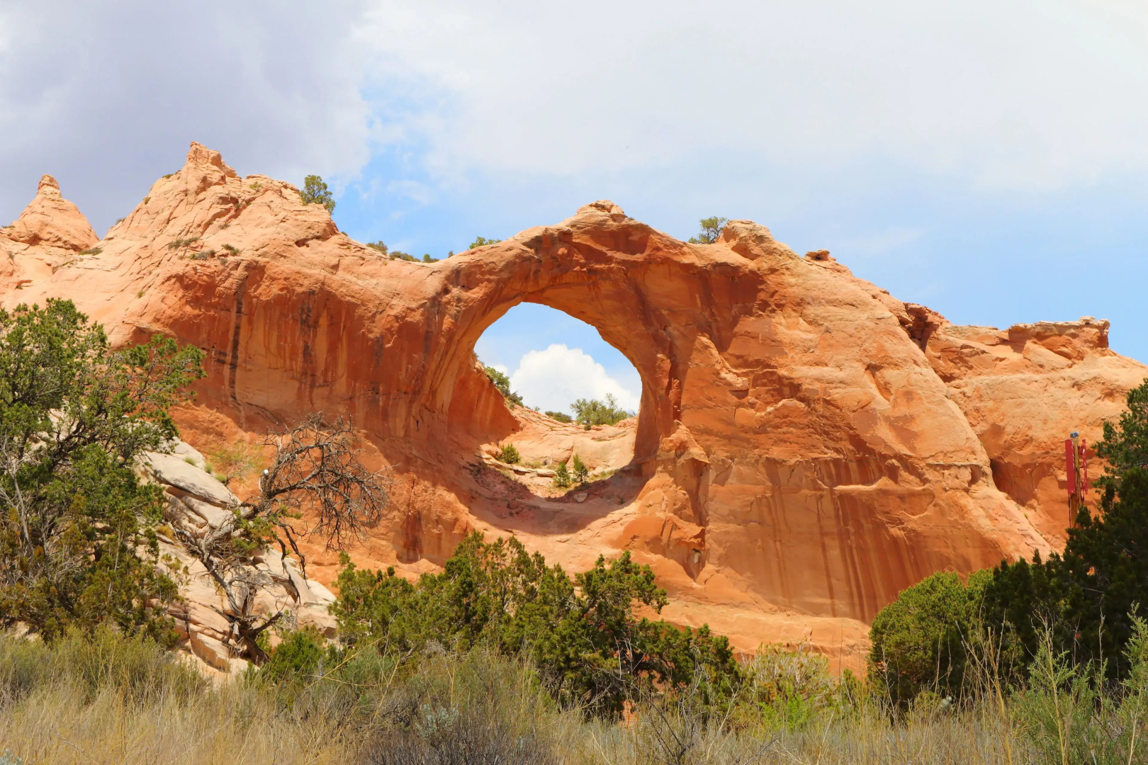 Navajoland Inn And Suites