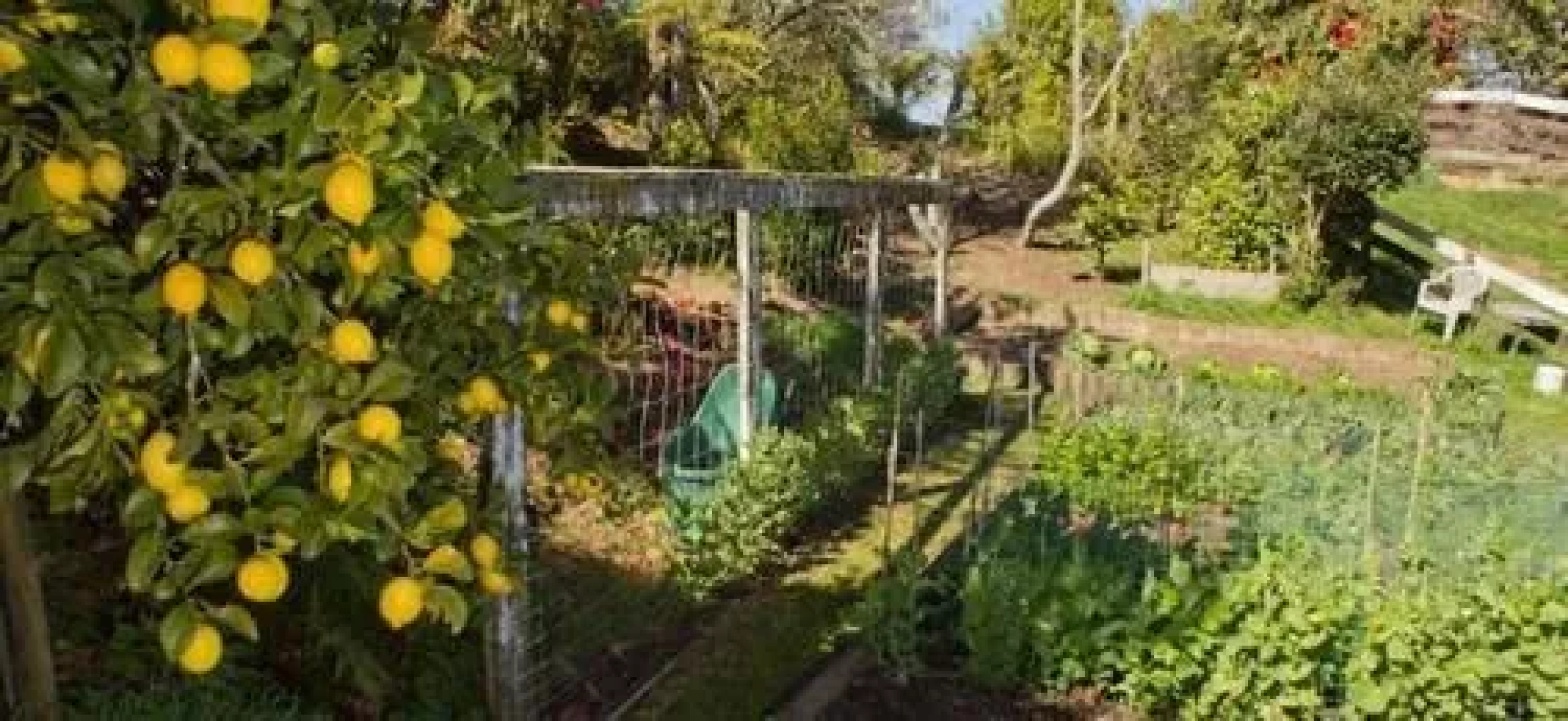 Lakeview Heights BB Farmstay