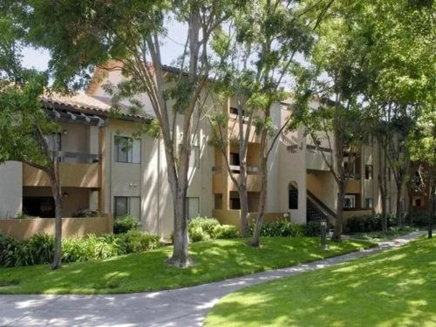 Avalon Mountain View