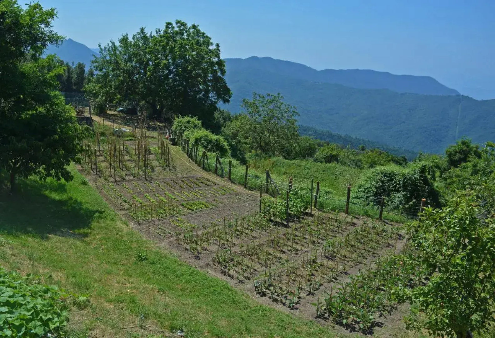 Agriturismo Monte Pu'