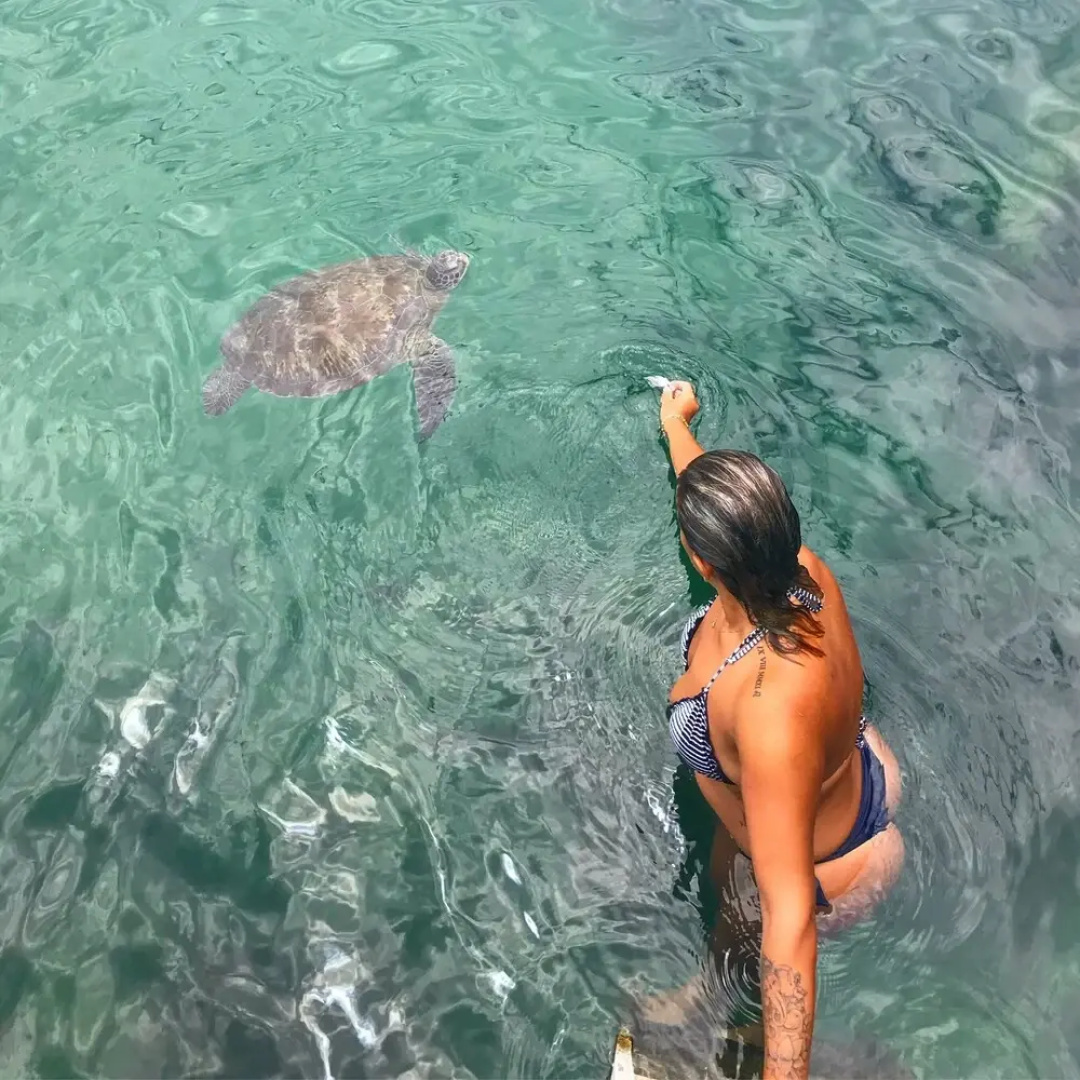 Pousada Convés Ilha Grande