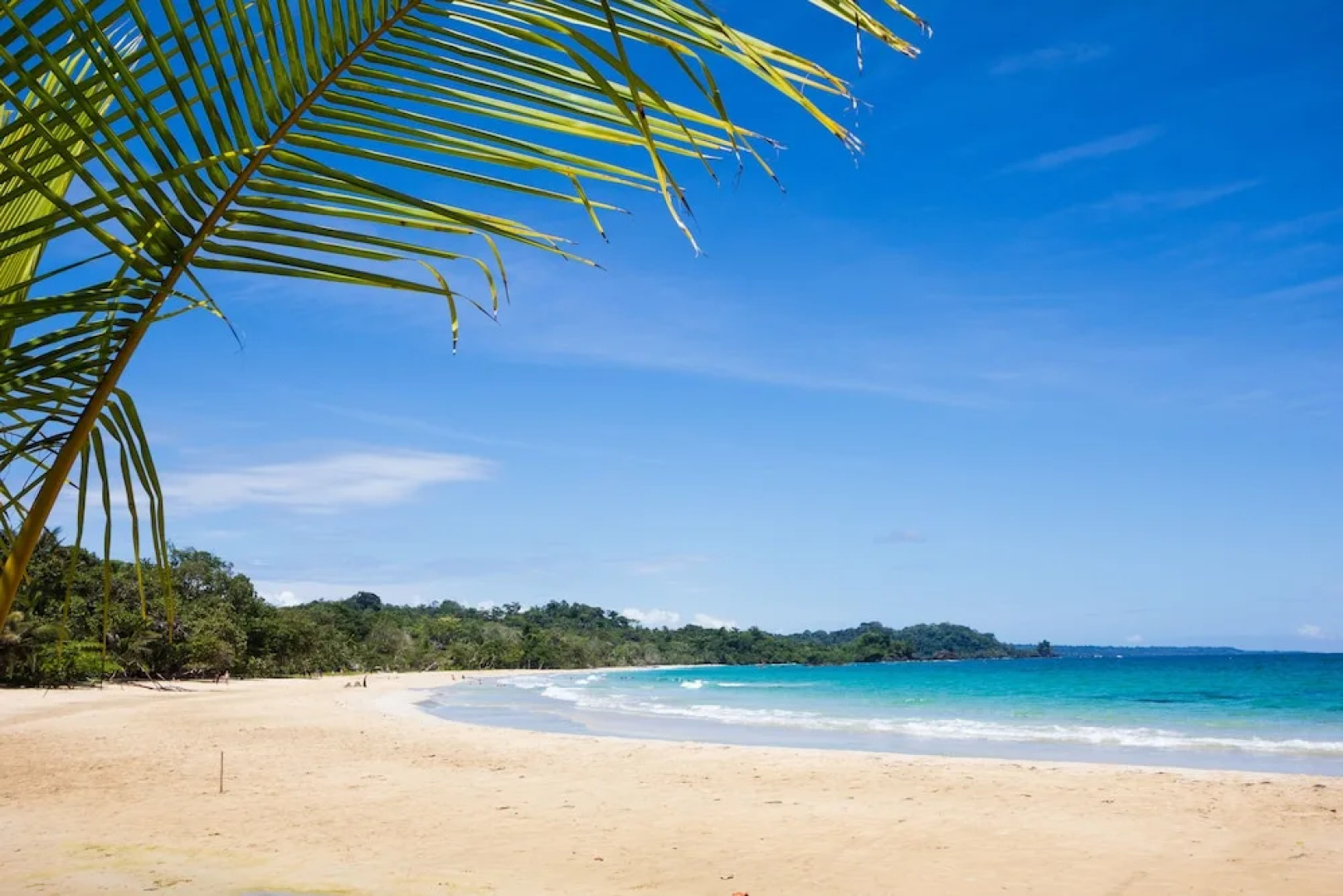 The Island Hub at Red Frog Beach Resort