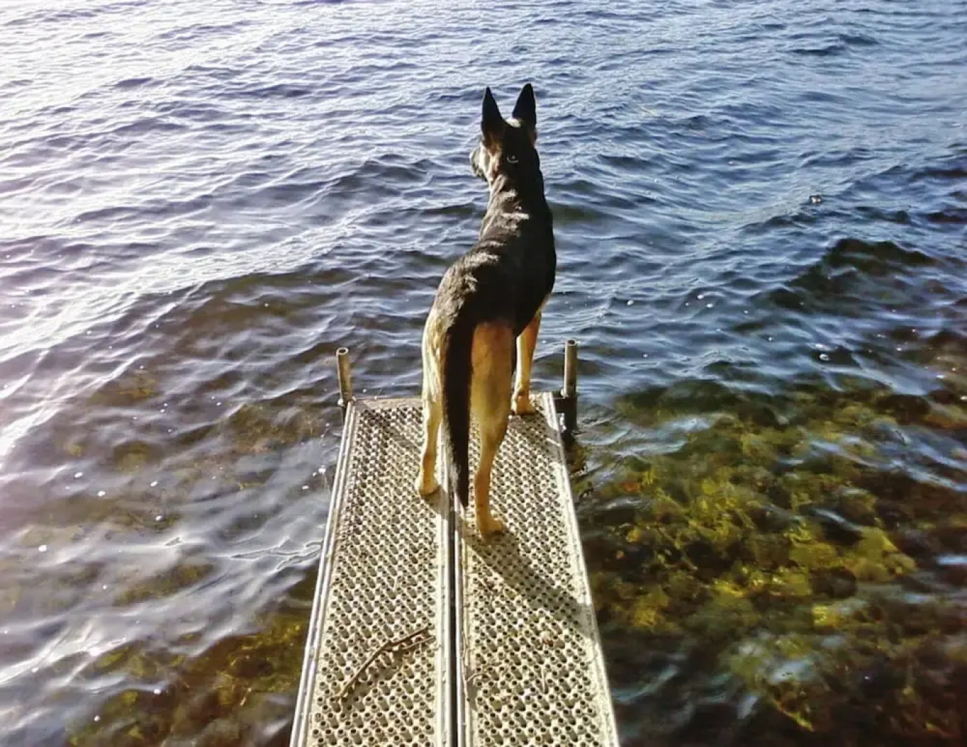 Roof House Near Dummer See With Rowing Boat