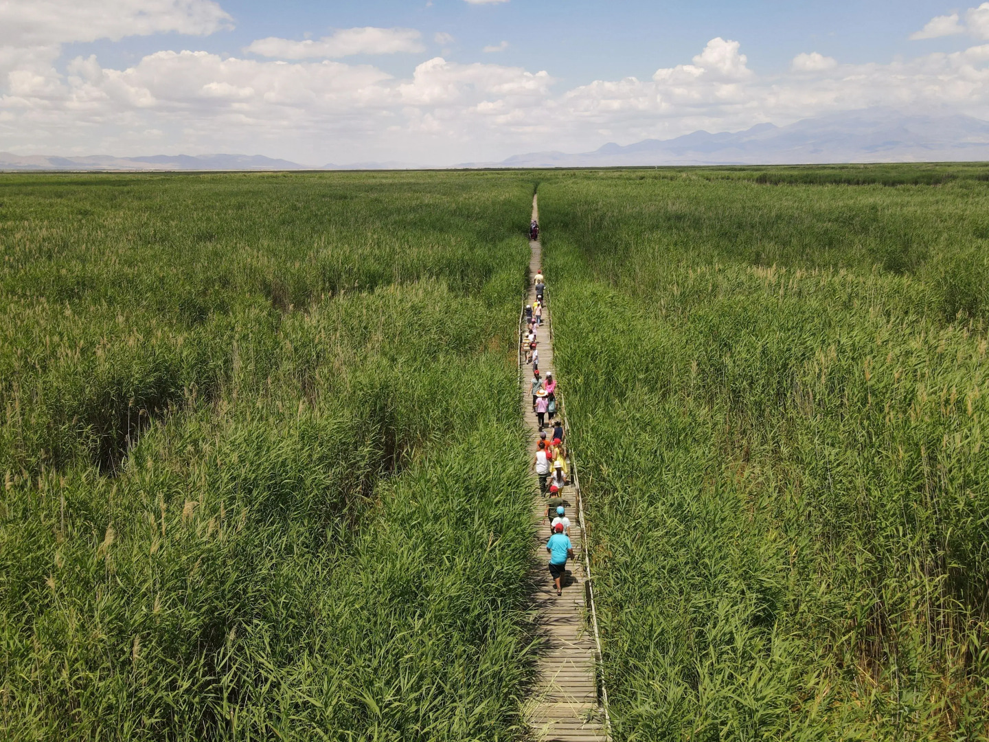 Sultan Pansion Bird Paradise