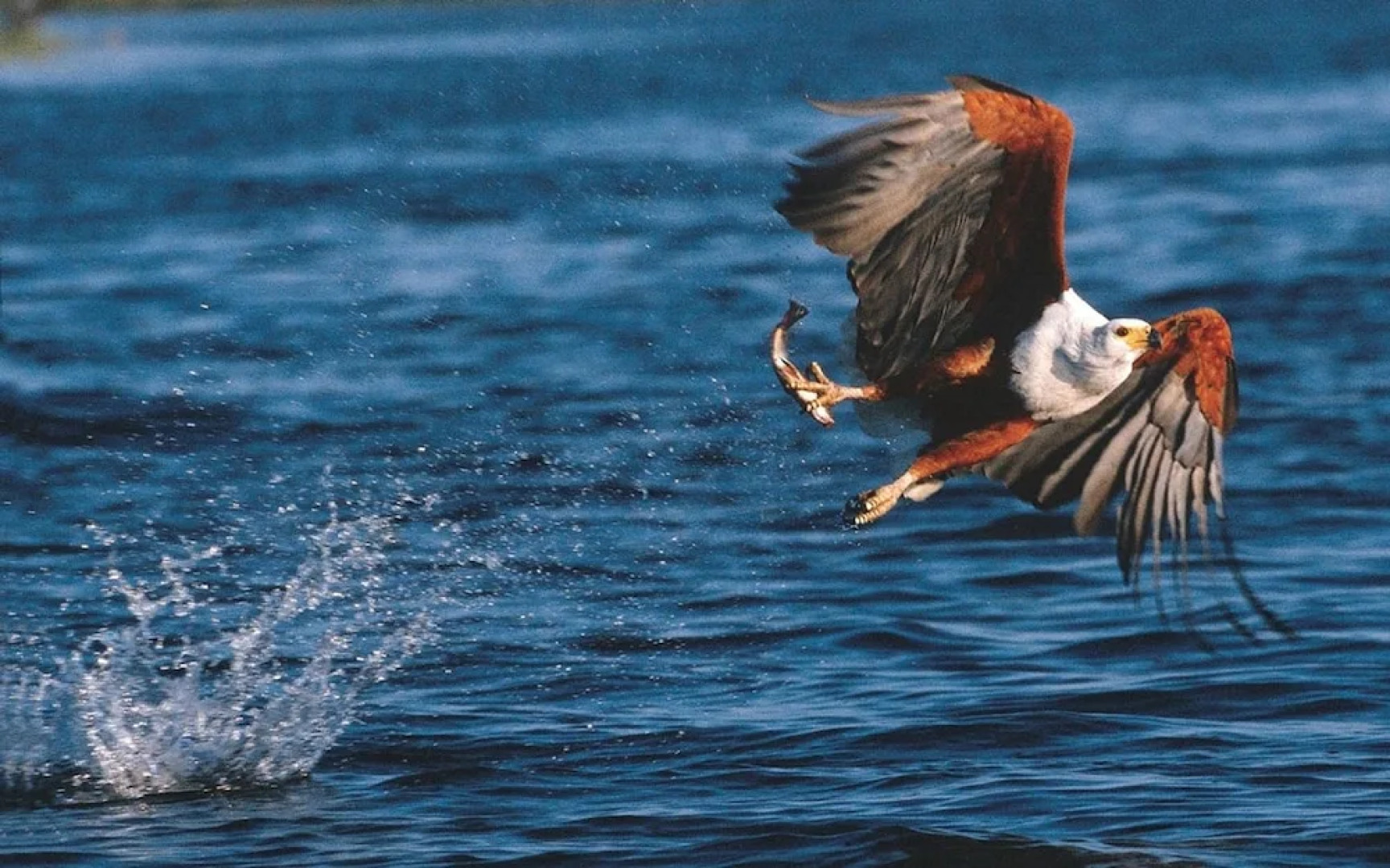 Kariega Game Reserve Settlers Drift