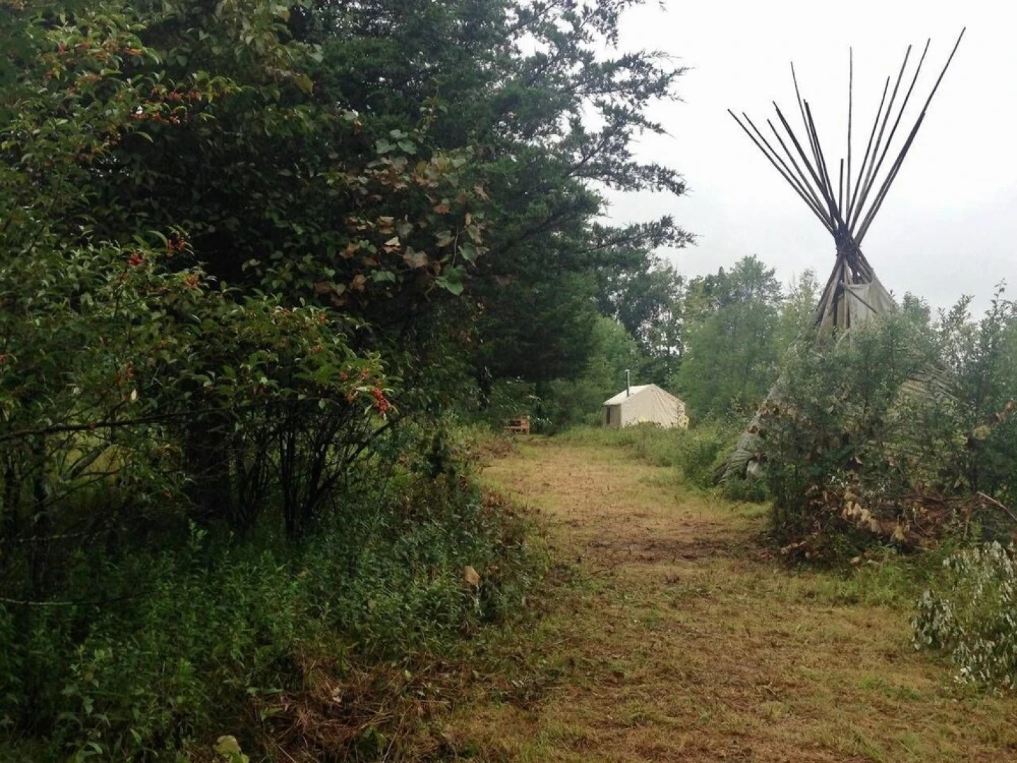 Tentrr - Clove Mountain Meadow