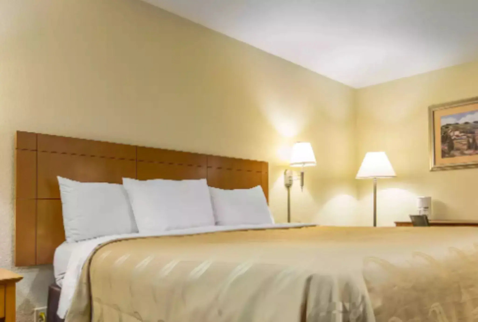 Quality Inn & Suites