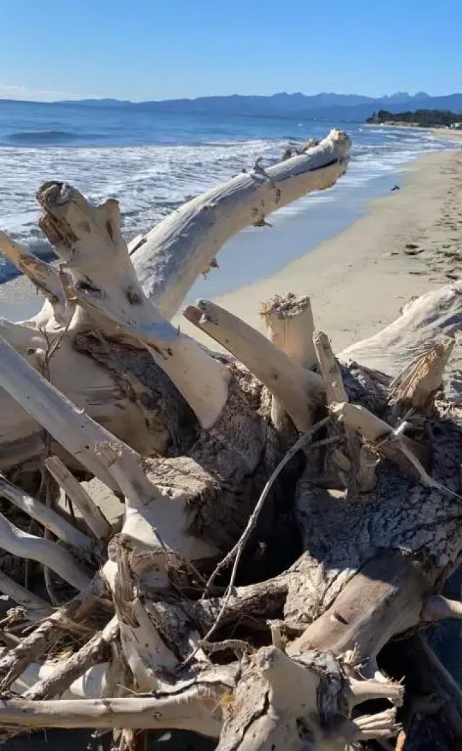 un ecrin de verdure face à la mer