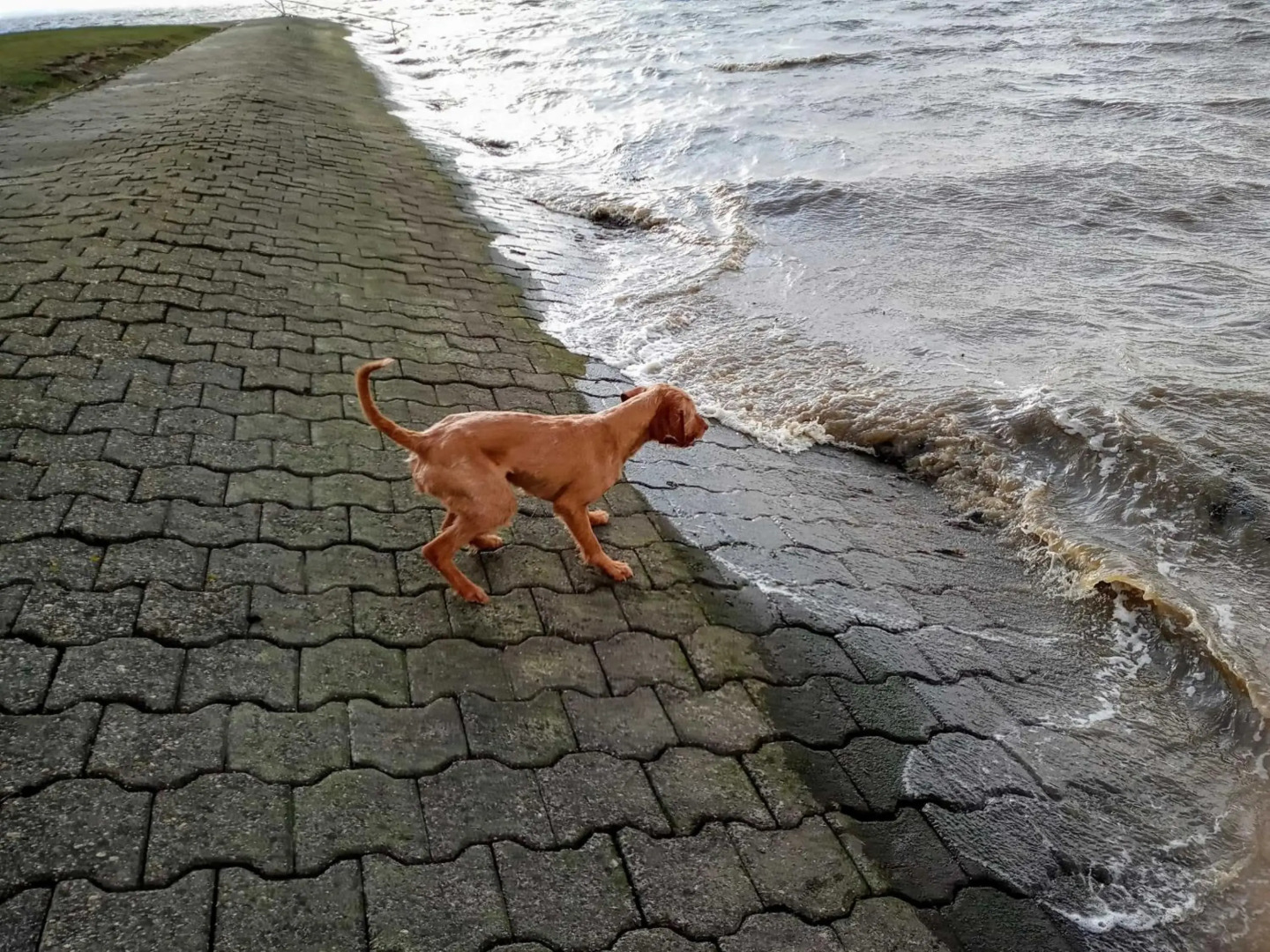 Fischerhaus am Deich 45233