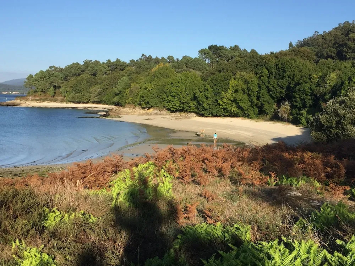 Apartamento Playa a 20 minutos de Santiago