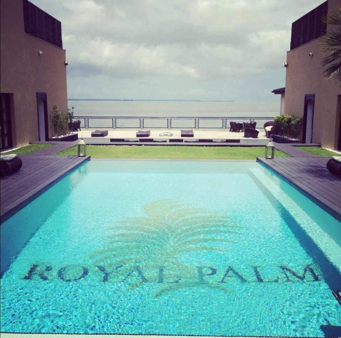 Royal Palm