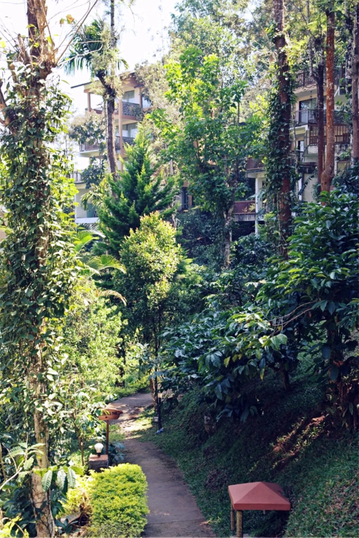 Oxygen Resorts Wild Corridor