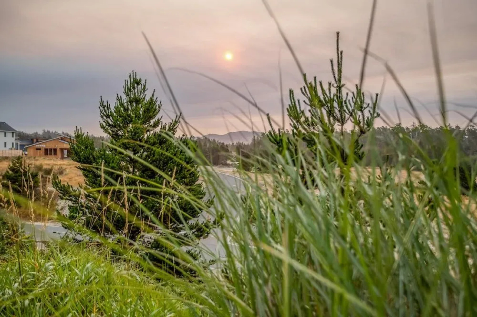 Ridge Retreat (MCA 442)