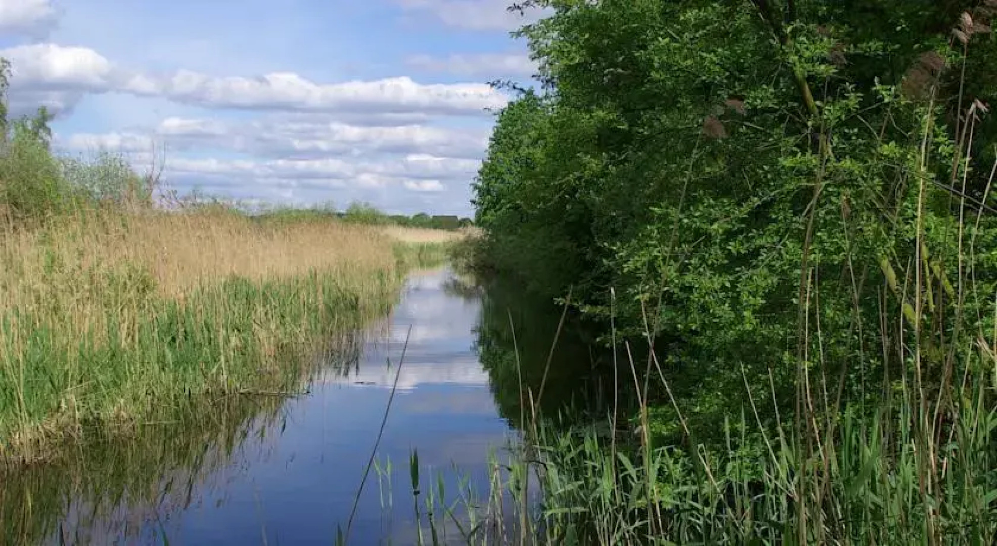 Villa Morgentau Gesundheitsfarm