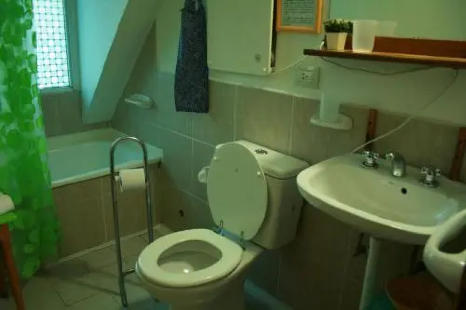 Renting Calafate