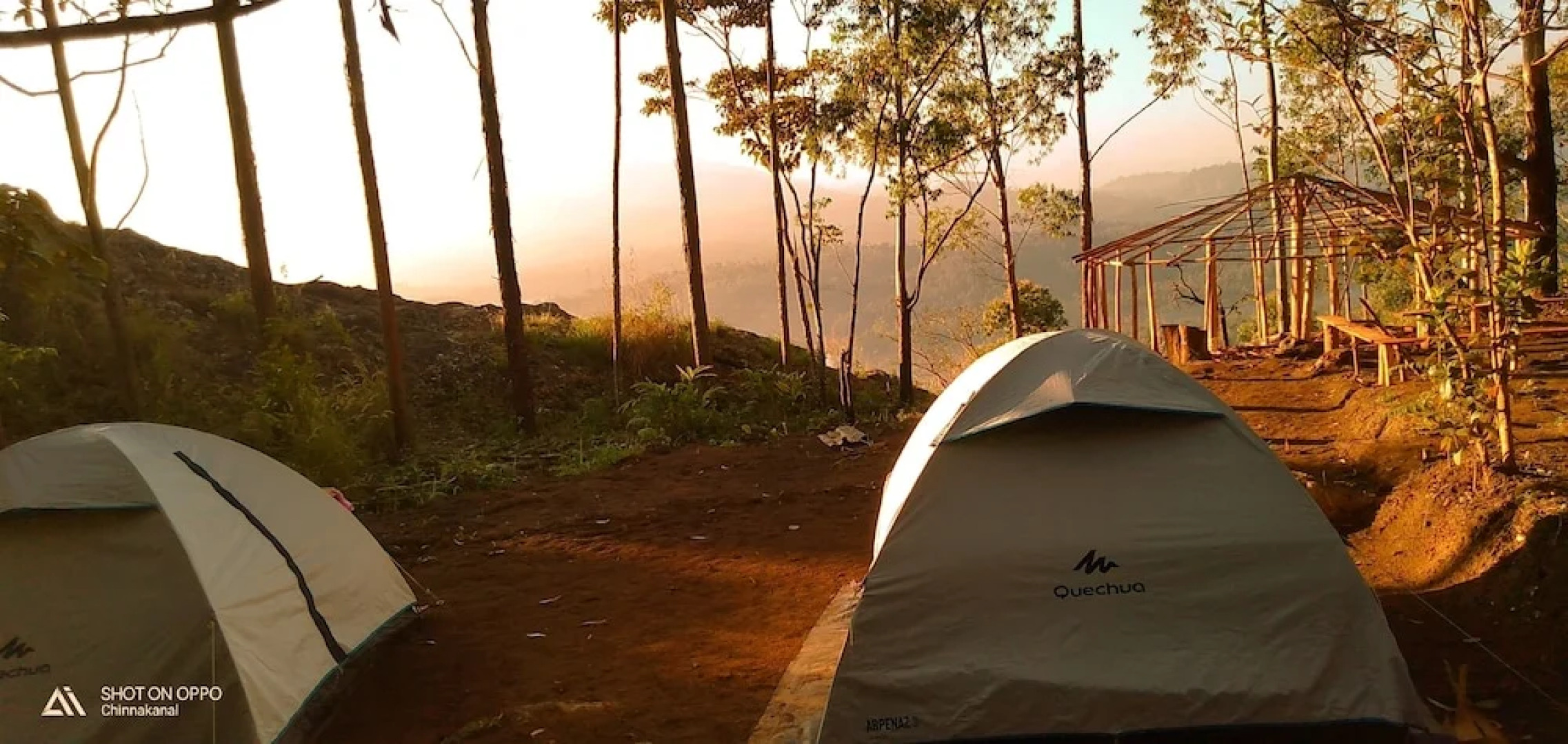 Munnar Jungle Camp