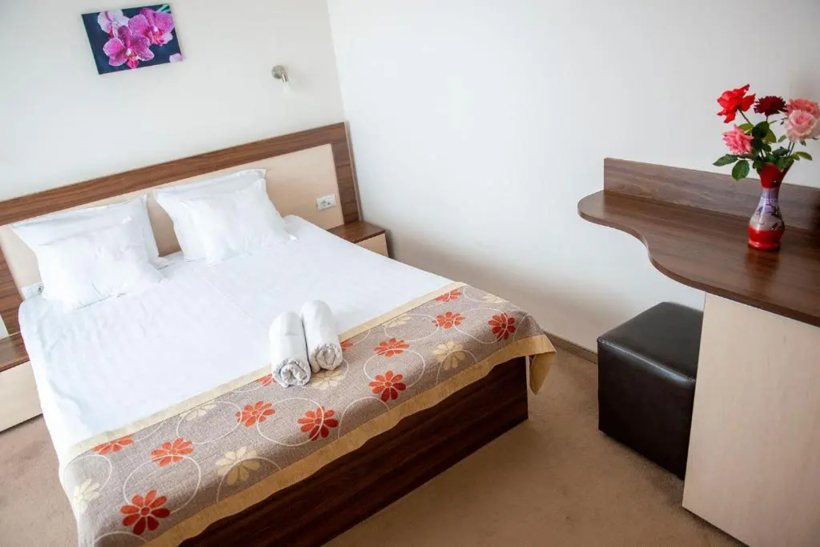 Complex Hotelier Vulturul