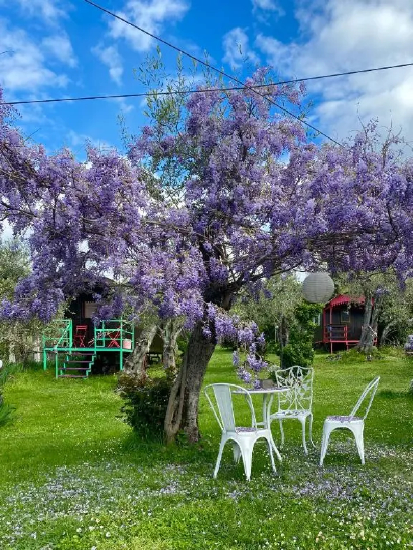 Azienda agricola Della Mezzaluna