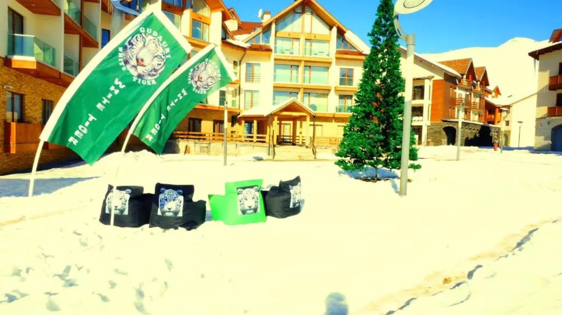 White Tiger in New Gudauri II