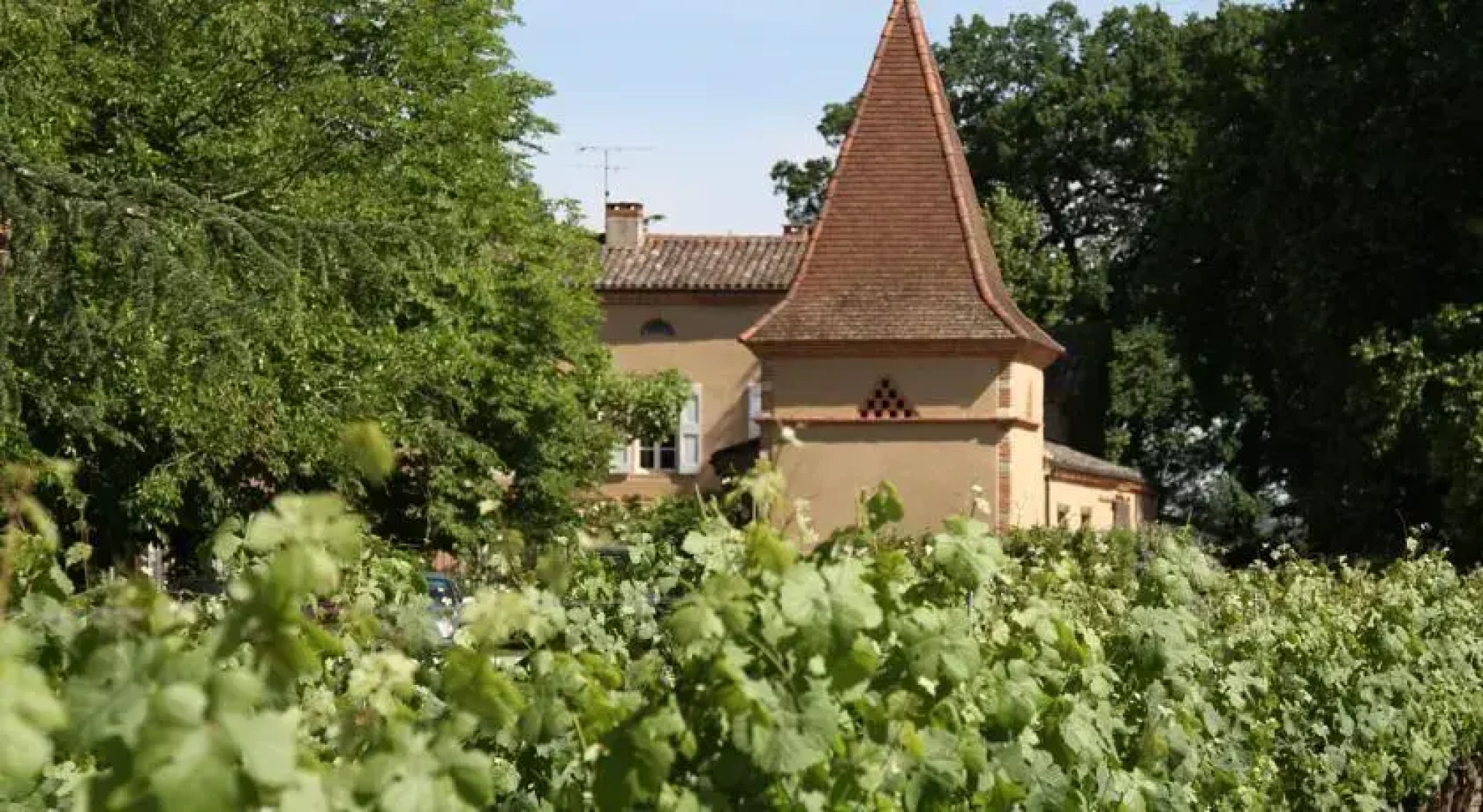 Chambres d’hôtes Château Touny les Roses