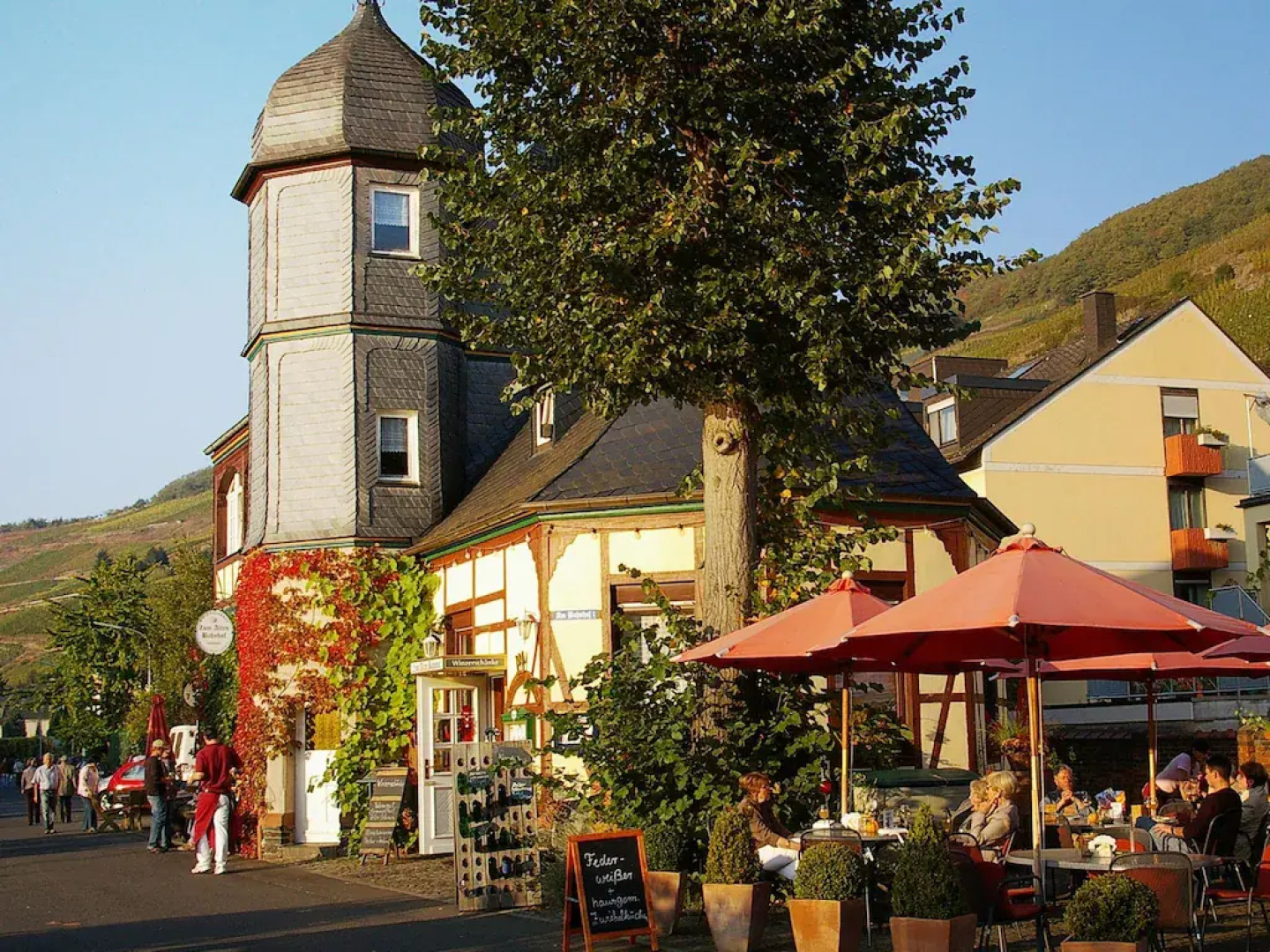 Apartment in Zell Near Mosel River & Vineyards