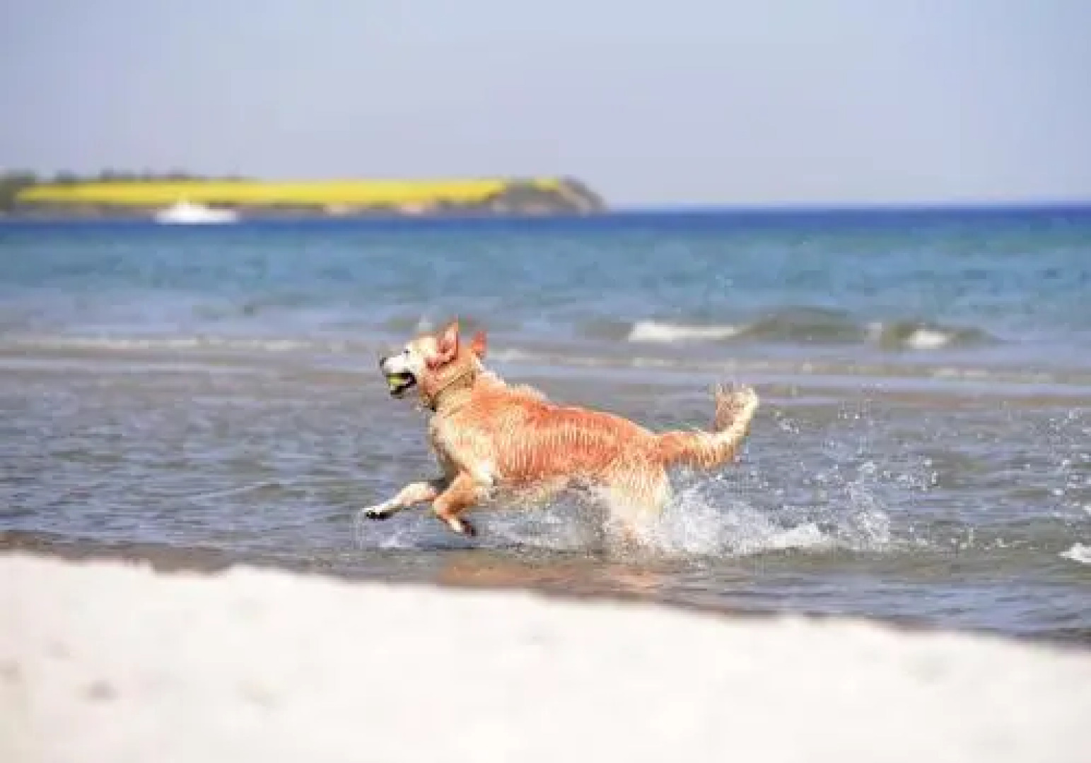Strandvilla Hubertus Boltenhagen - Ferienwohnungen Apartment Mit Parkplatz Wlan Kuche Garten Grillplatz Waldbaden