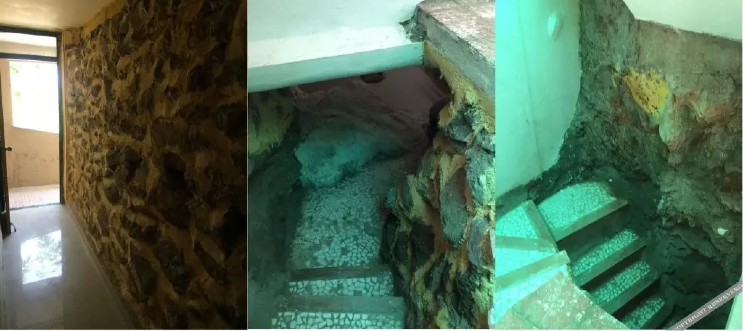 The Space Jungle Retreat