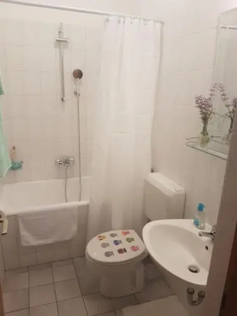 Apartment Podbarje