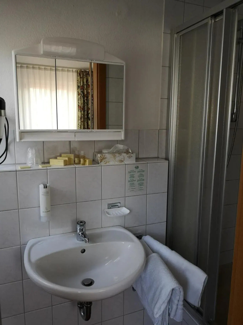 Bodenseehotel Krone
