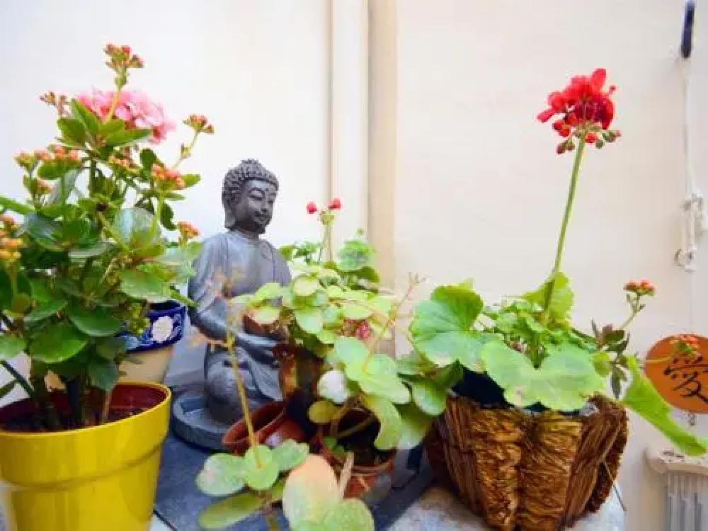 House Sant VicenÃ§