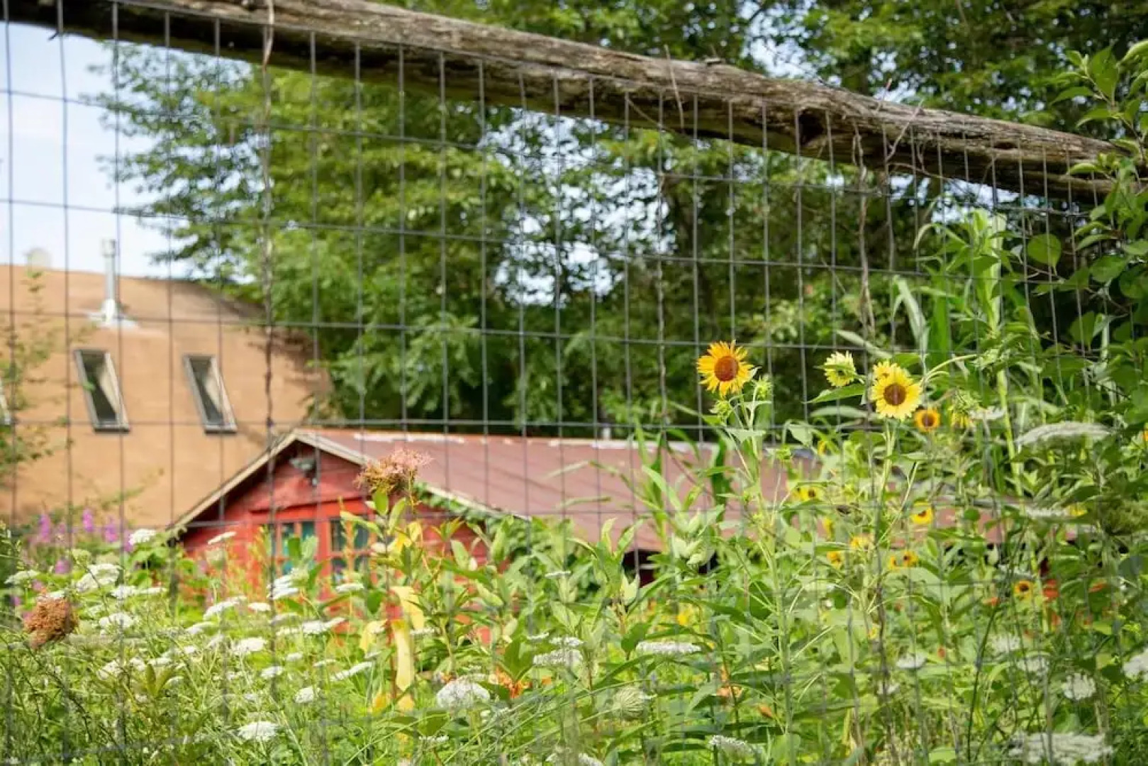 Tentrr - Clove Valley Creek