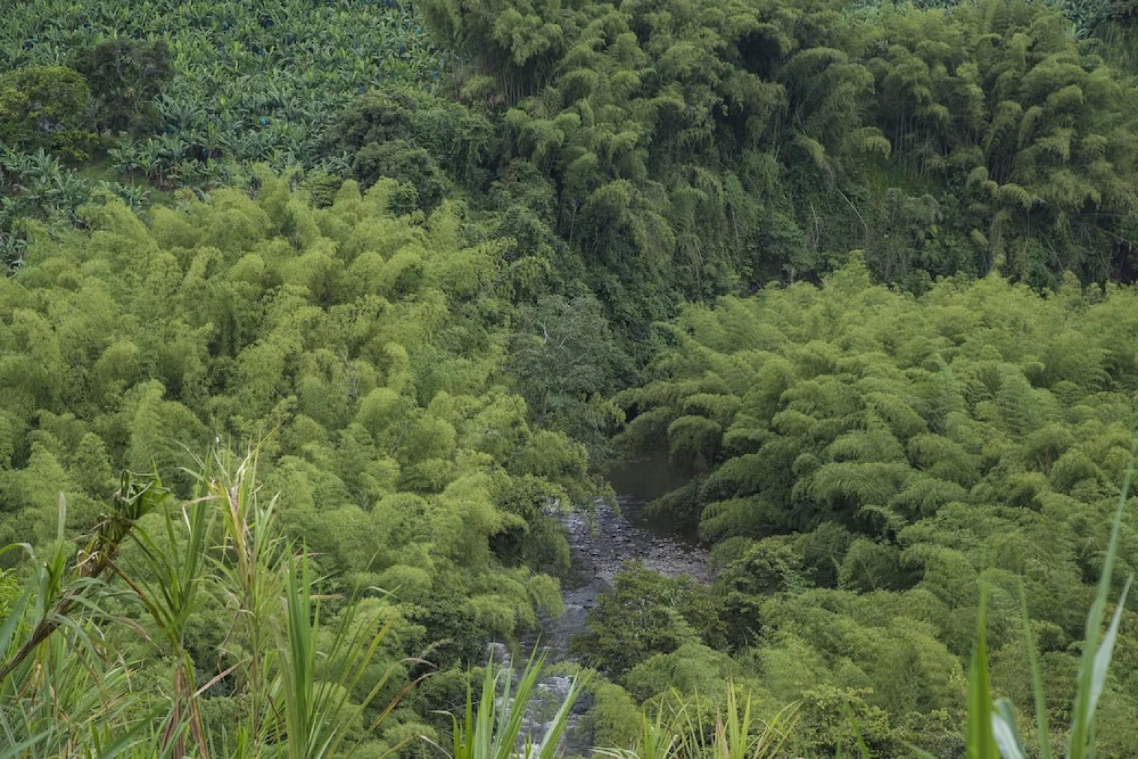 Finca Hotel Los Aperos