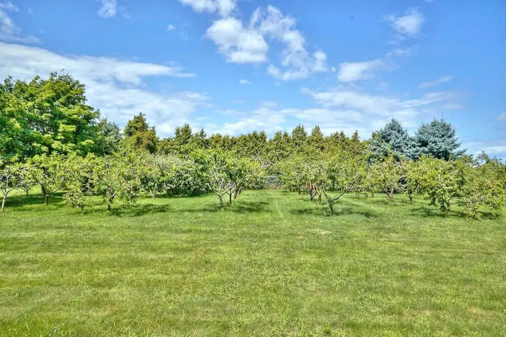 Canadian Grand Executive Villa