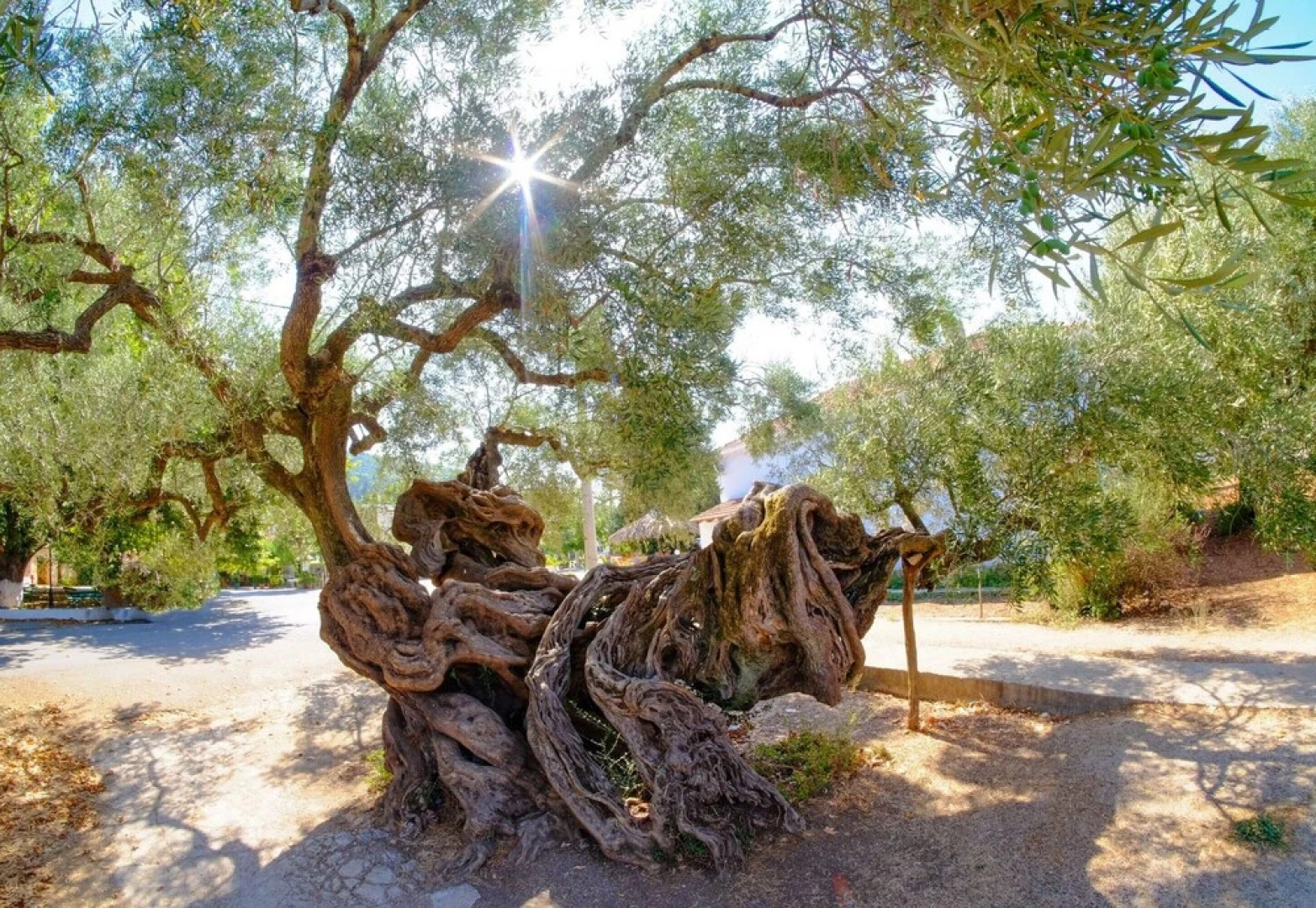 Pool Villa Stagio 650mt From sea